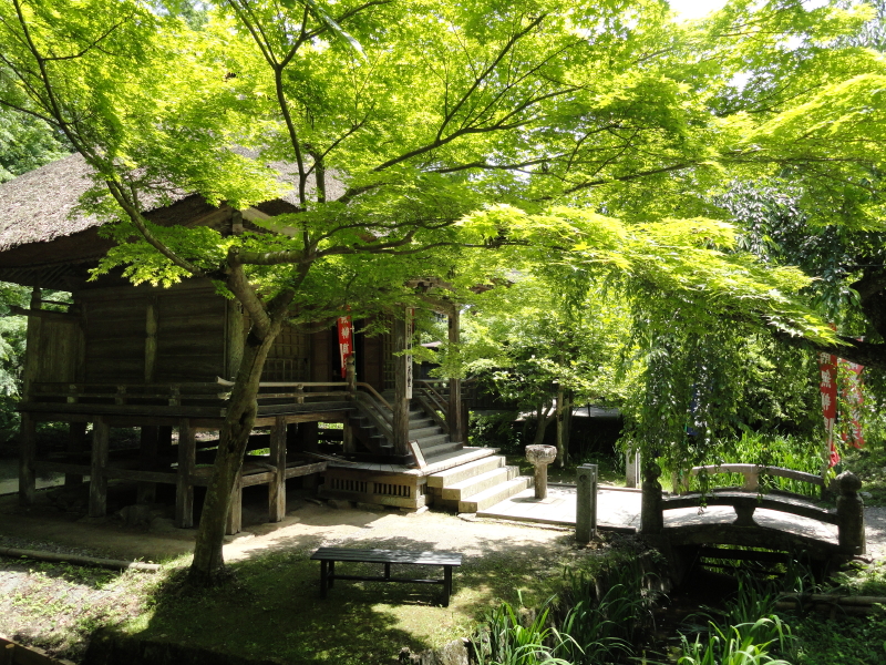 img0167.jpg