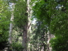 img0002.jpg