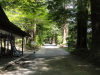 img0004.jpg