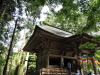 img0010.jpg