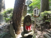 img0015.jpg