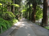 img0021.jpg