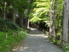 img0025.jpg