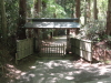img0031.jpg
