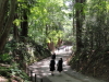 img0032.jpg