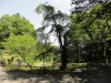 img0033.jpg