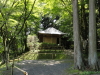 img0034.jpg