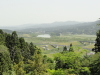 img0036.jpg