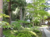 img0054.jpg