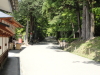 img0062.jpg