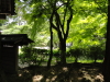 img0077.jpg
