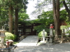 img0079.jpg