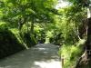 img0080.jpg