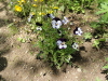 img0085.jpg