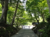 img0088.jpg