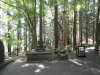 img0102.jpg