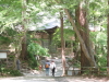 img0105.jpg