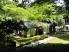 img0108.jpg