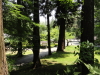 img0118.jpg