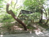 img0119.jpg