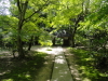 img0126.jpg