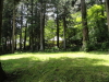 img0130.jpg