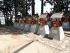 img0156.jpg
