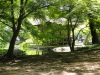img0164.jpg