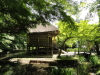 img0165.jpg