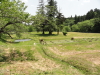 img0175.jpg