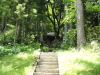 img0176.jpg