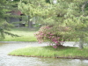 img0008.jpg