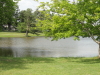 img0013.jpg