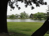 img0024.jpg