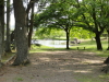 img0028.jpg