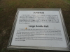img0031.jpg
