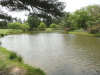 img0046.jpg