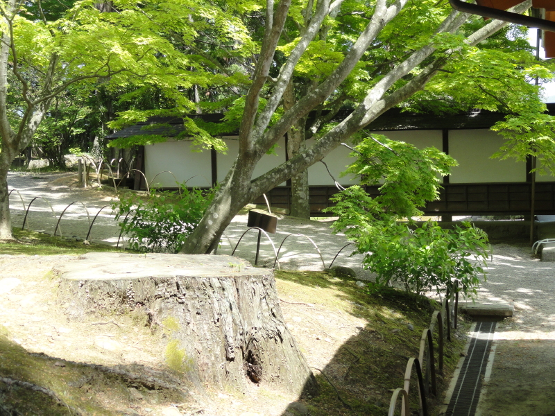 img0007.jpg