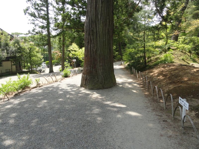 img0033.jpg
