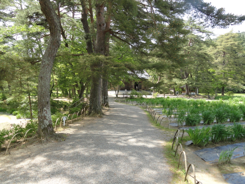 img0035.jpg