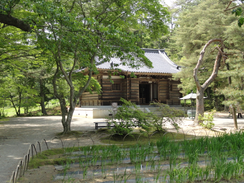 img0036.jpg