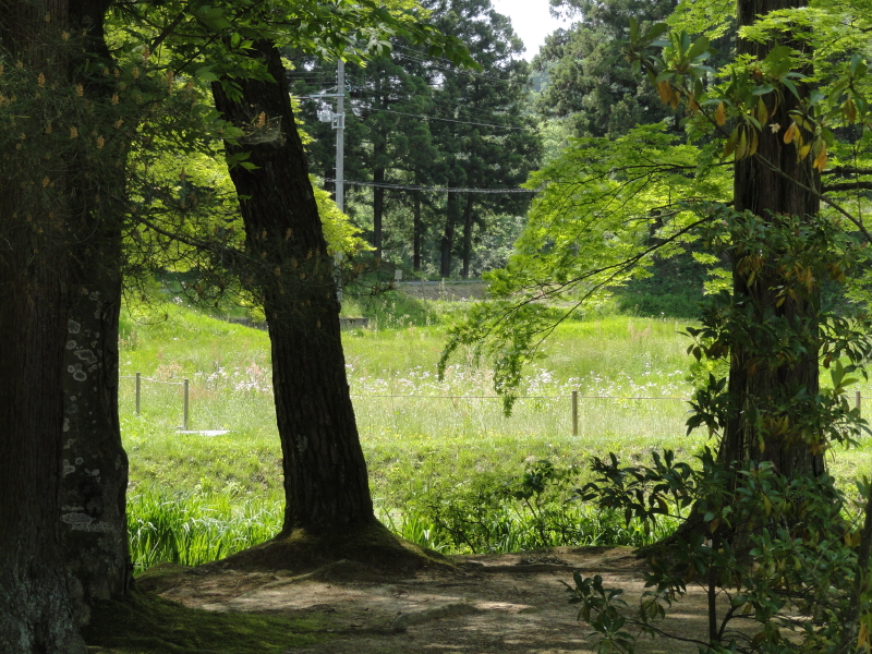 img0042.jpg