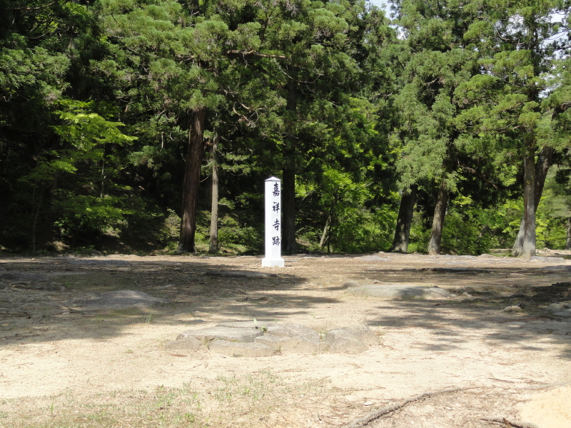 img0049.jpg