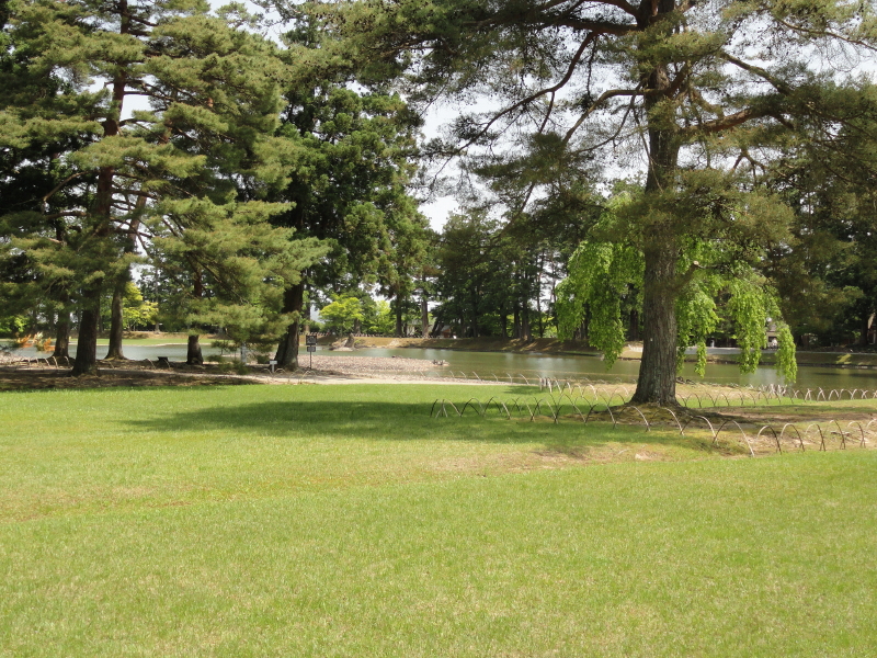 img0052.jpg