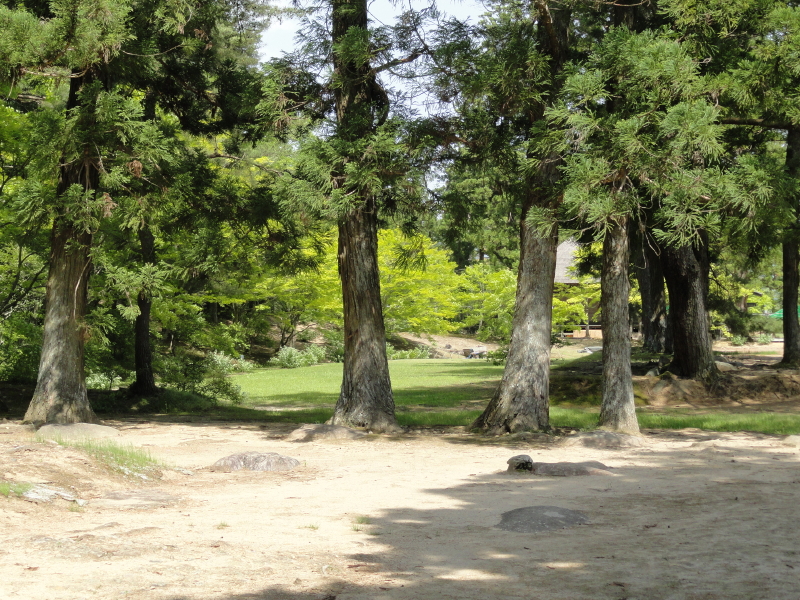 img0056.jpg