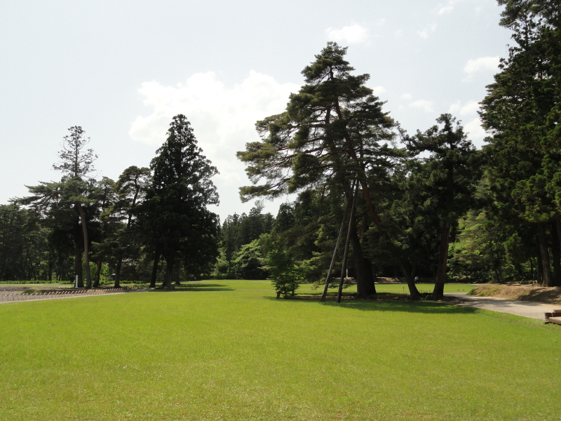 img0062.jpg