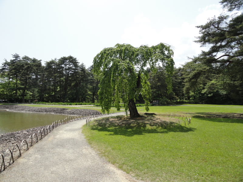 img0063.jpg
