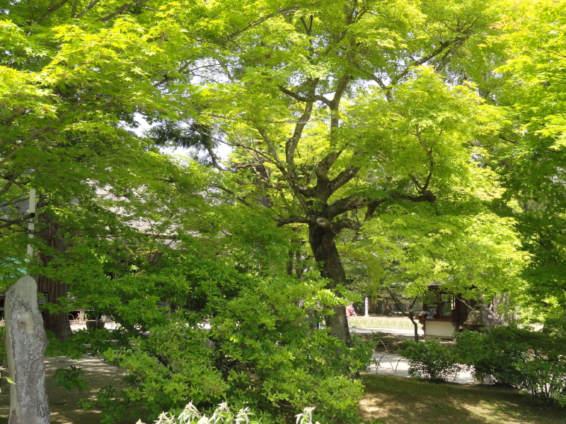 img0071.jpg