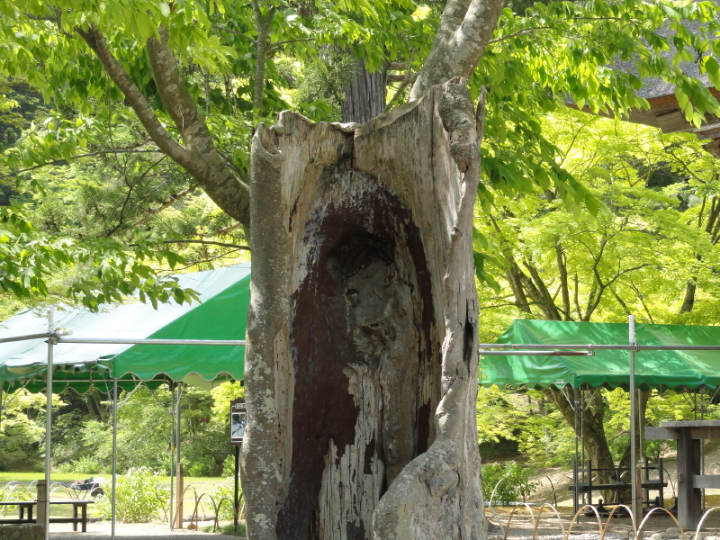 img0083.jpg