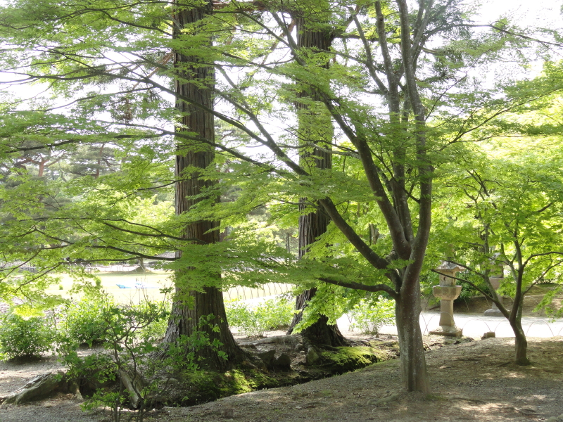 img0088.jpg